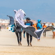 monitor kite chica kite and roll